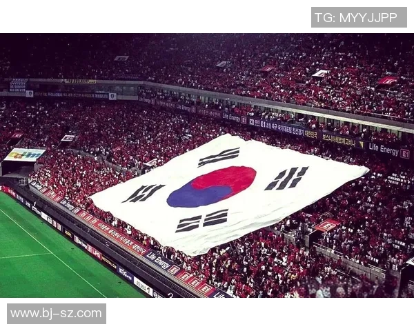 世界杯背后的阴影与真相我们为何选择视而不见